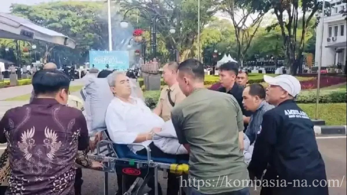 https://kompasia-na.com/